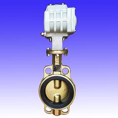 鋁青銅電動蝶閥|過海水用電動蝶閥