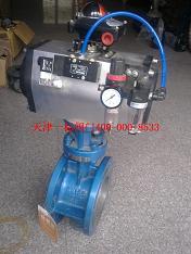 法蘭硬密封氣動(dòng)蝶閥