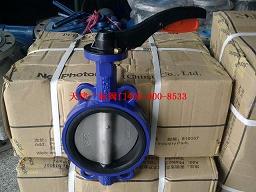 手動(dòng)蝶閥|不銹鋼對(duì)夾式蝶閥