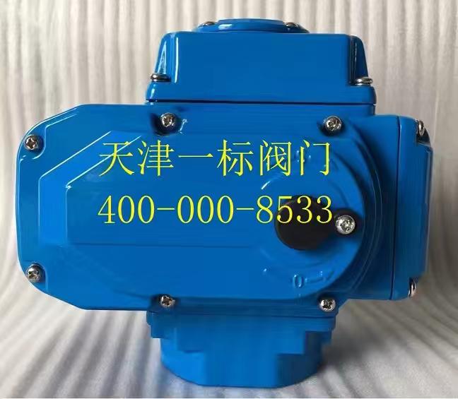 DLE電動執(zhí)行器